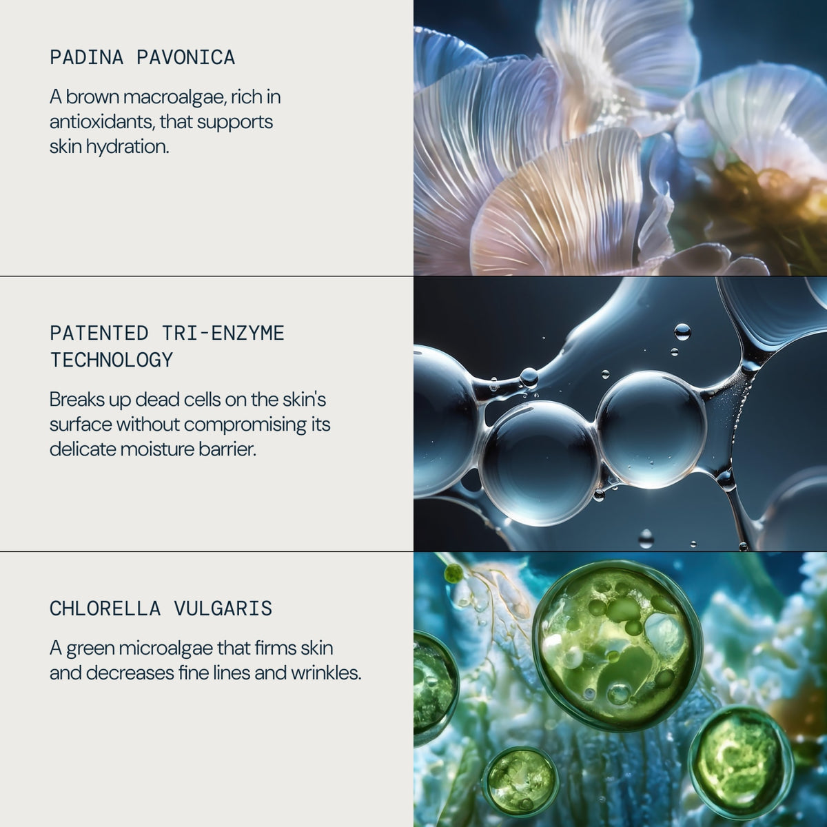 ELEMIS x Aston Martin Aramco Formula One™ Team Discovery Skincare Collection