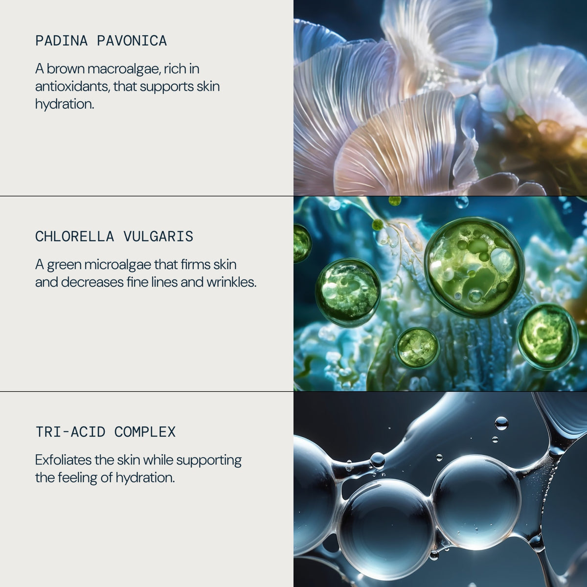 Pro-Collagen Tri-Acid Peel