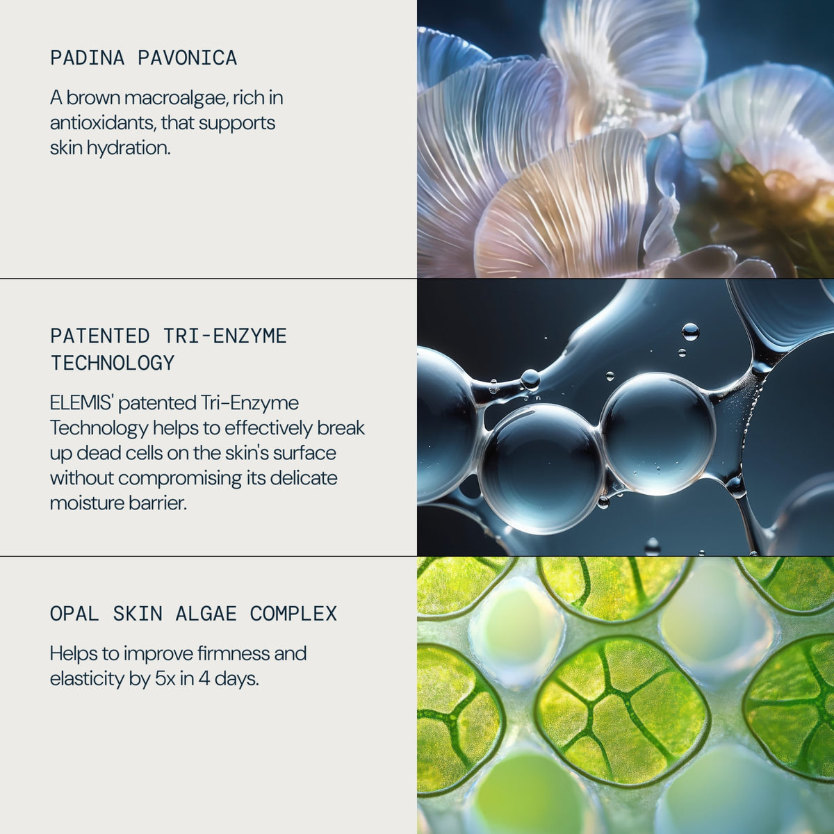 ELEMIS x Aston Martin Aramco Formula One™ Team Iconic Skincare Collection