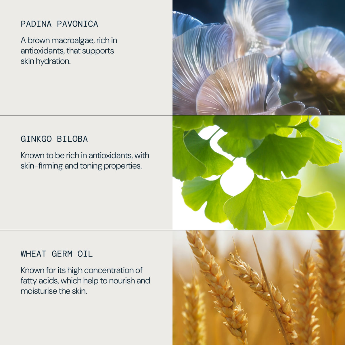 Pro-Collagen Marine Cream for Men