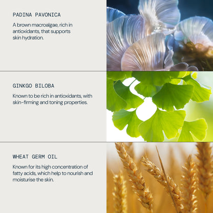 Pro-Collagen Marine Cream for Men
