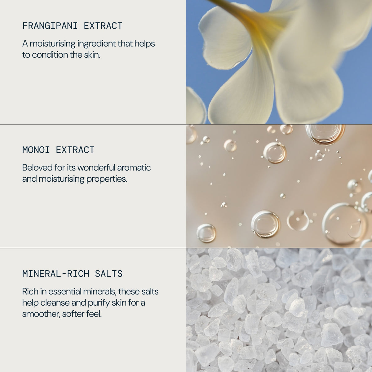 Frangipani Monoi Salt Glow Body Scrub