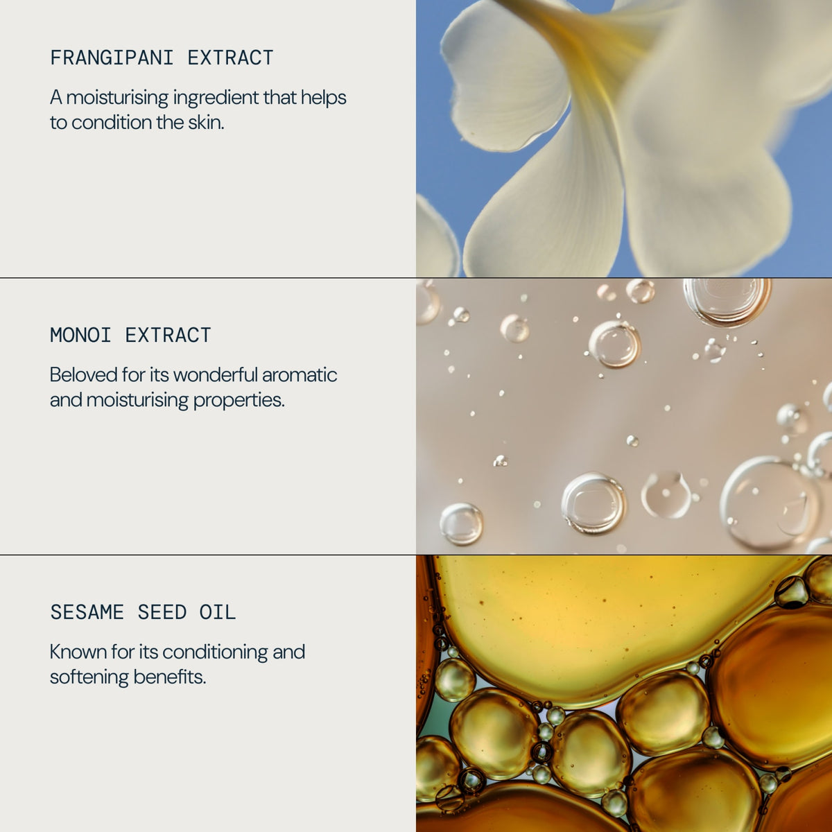 Frangipani Monoi Shower Cream
