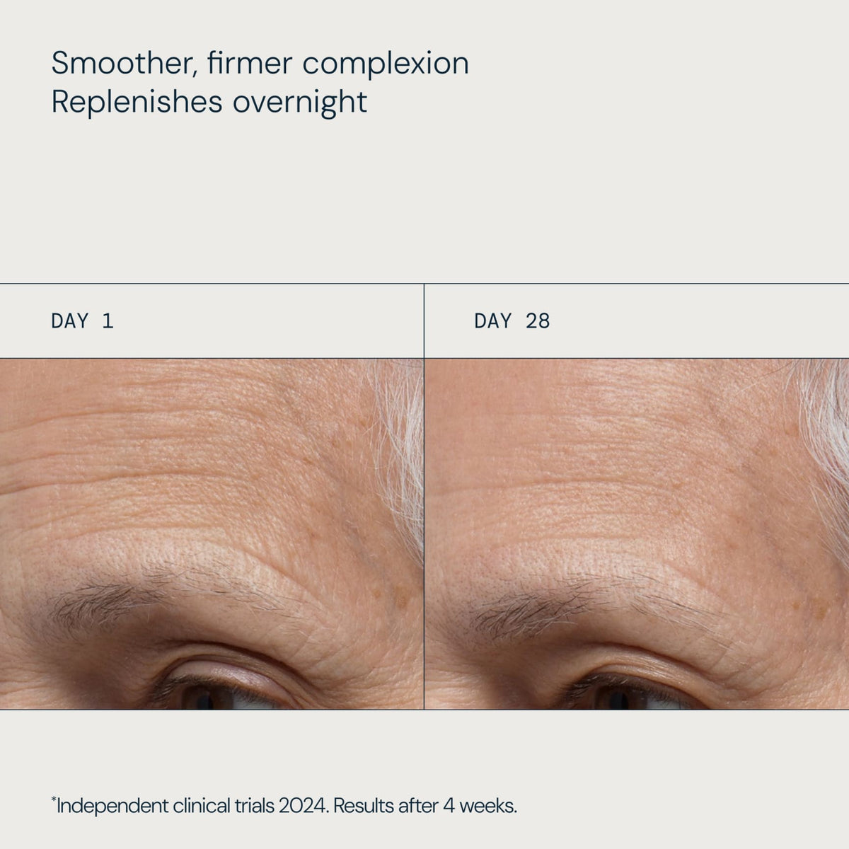 Pro-Collagen Night Cream