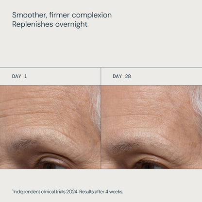 Pro-Collagen Night Cream