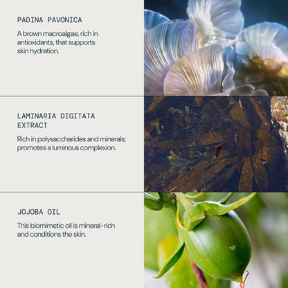 Pro-Collagen Rose Oil Blend