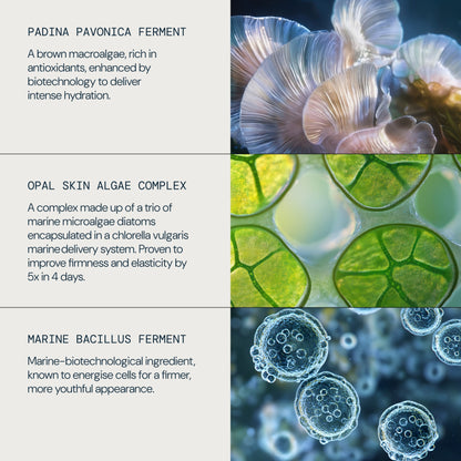 Pro-Collagen Future Restore Serum