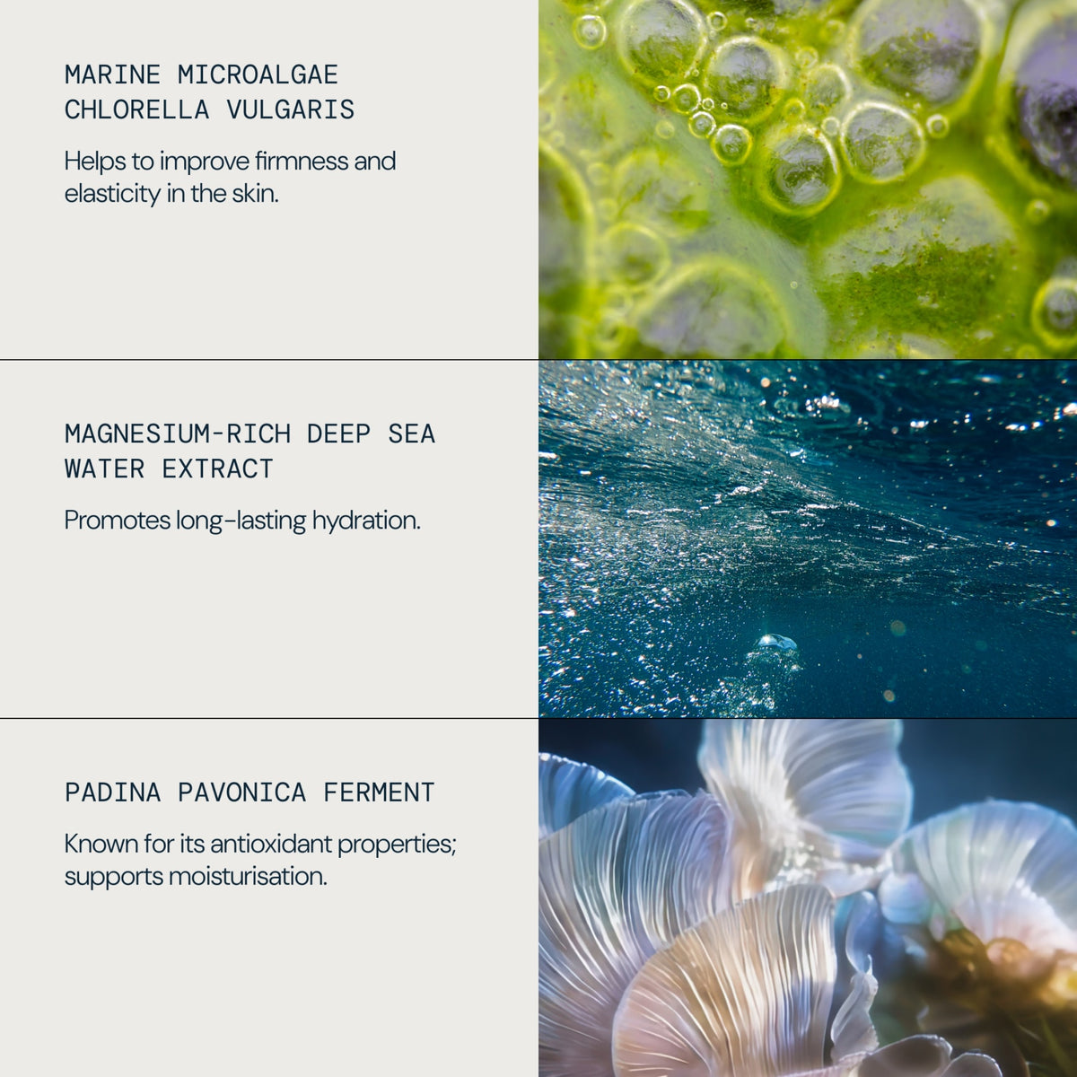Pro-Collagen Marine Body Cream