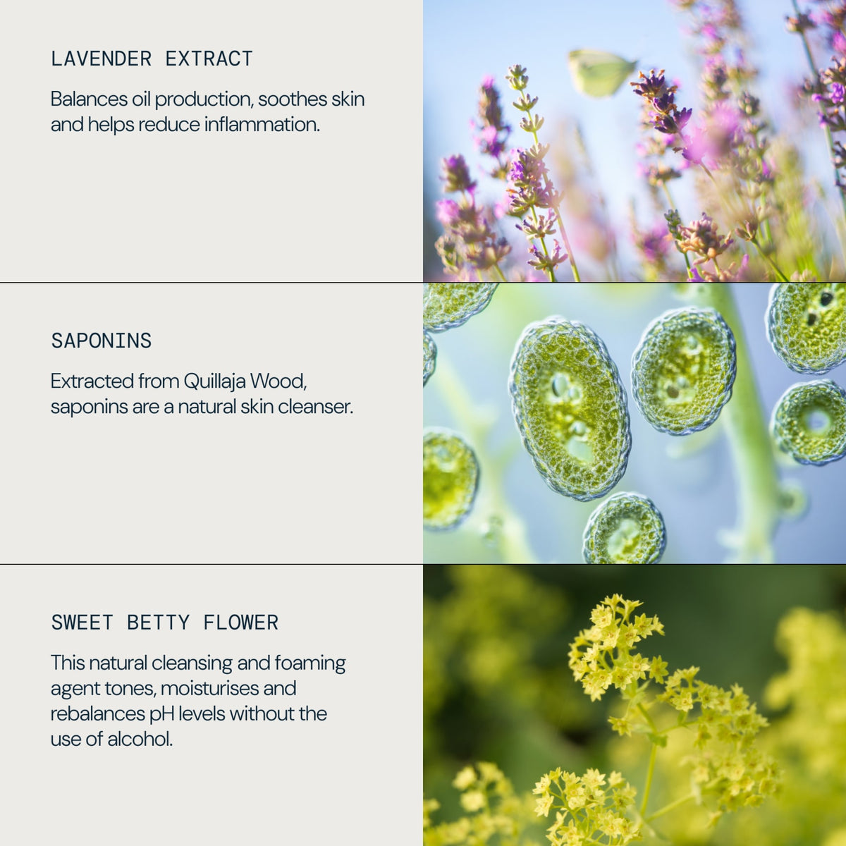 Balancing Lavender Toner