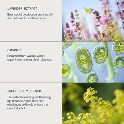 Balancing Lavender Toner