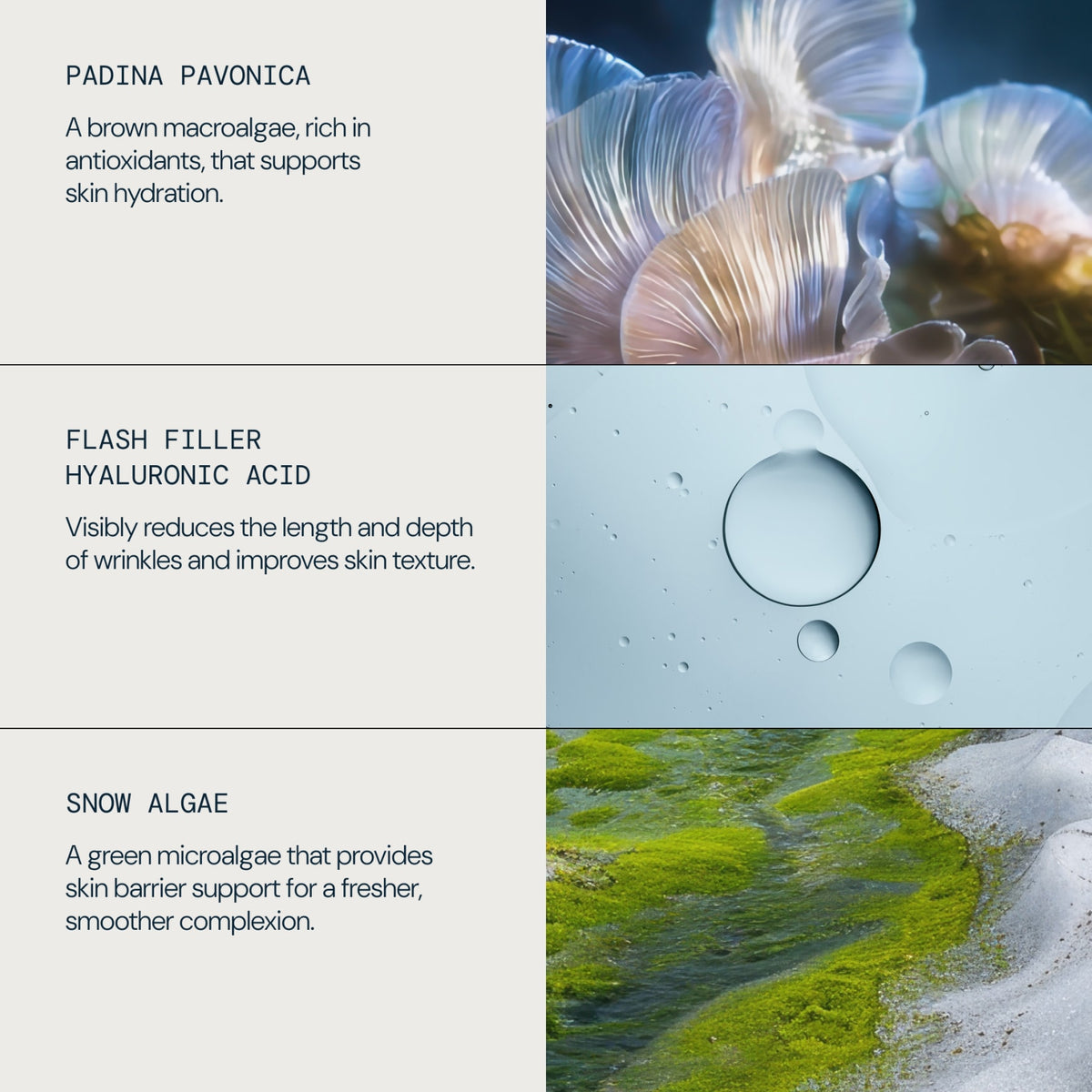 Pro-Collagen Eye Revive Mask