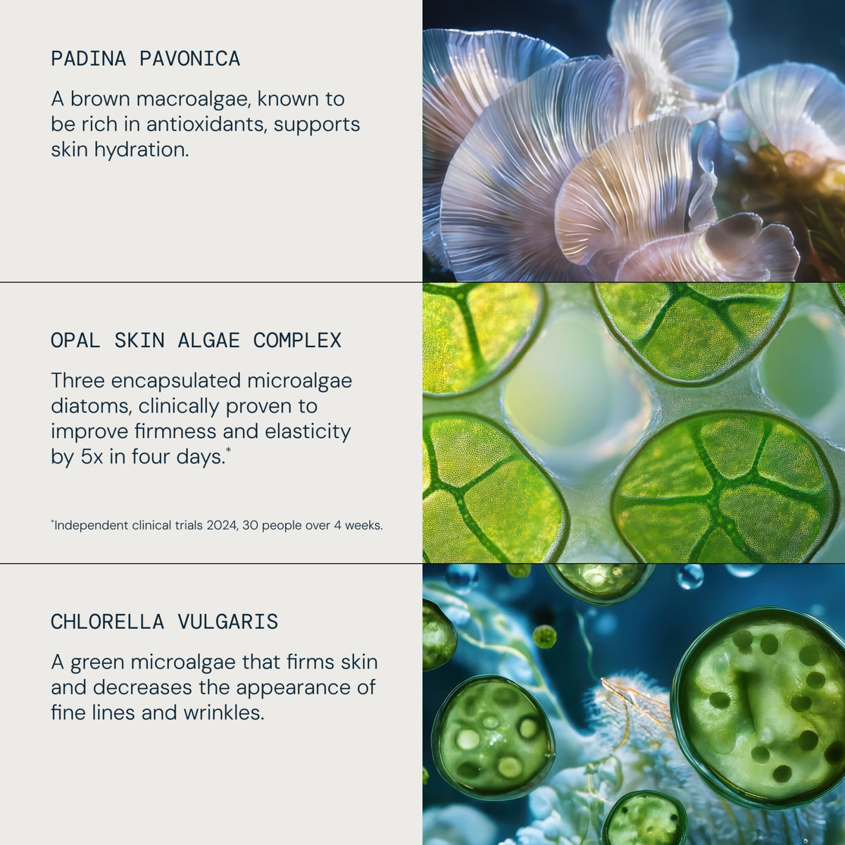 Pro-Collagen Revitalise & Rejuvenate Routine