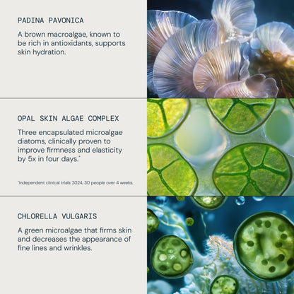 Pro-Collagen Revitalise & Rejuvenate Routine
