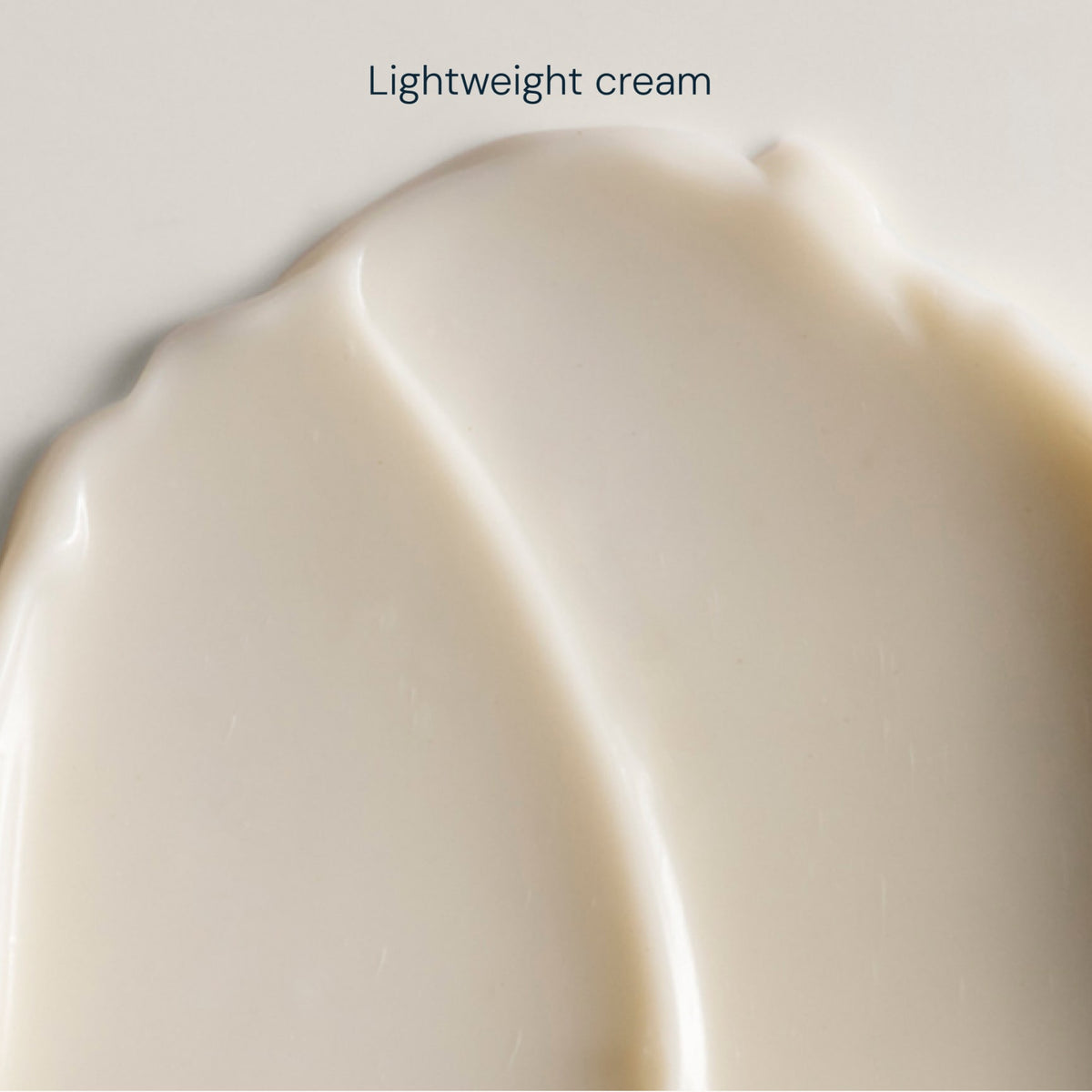 Superfood Day Cream