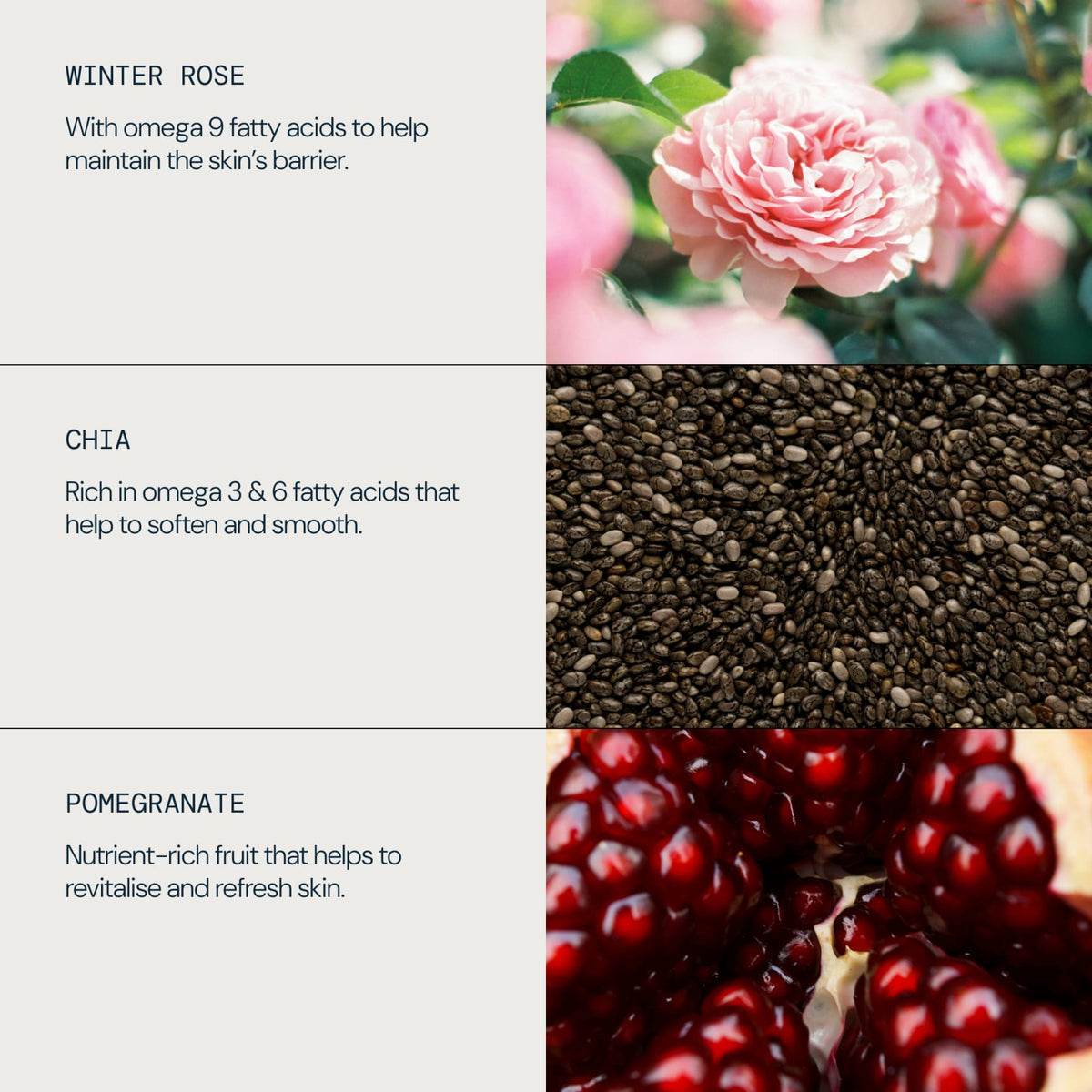 Nourishing Omega-Rich Cleansing Oil
