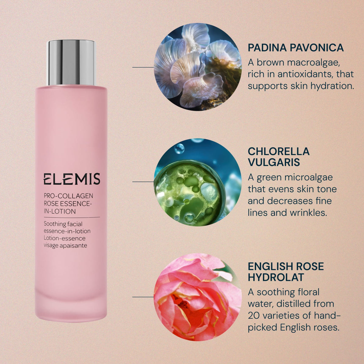 Pro-Collagen Rose Essence-in-Lotion