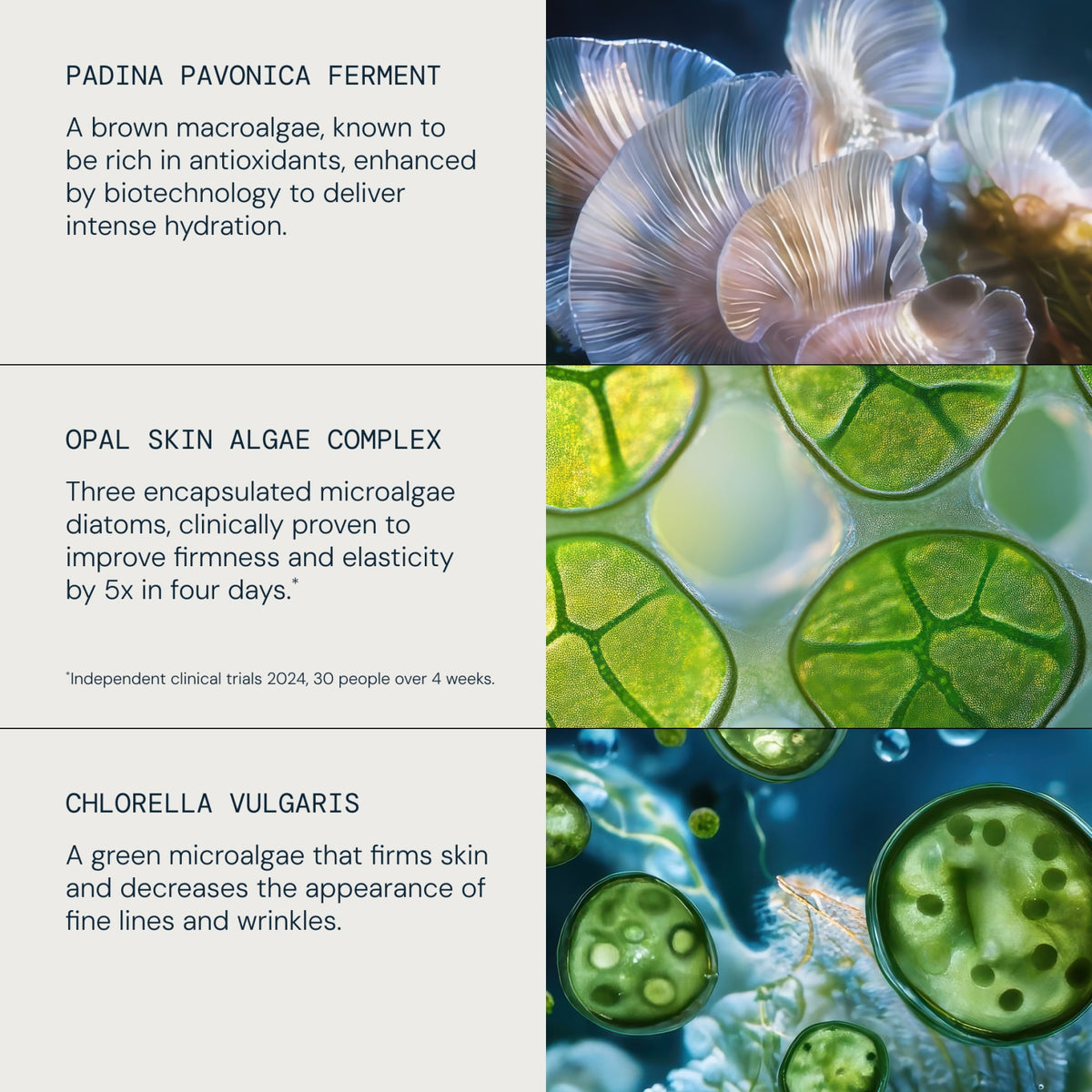 Power of Pro-Collagen Discovery Collection