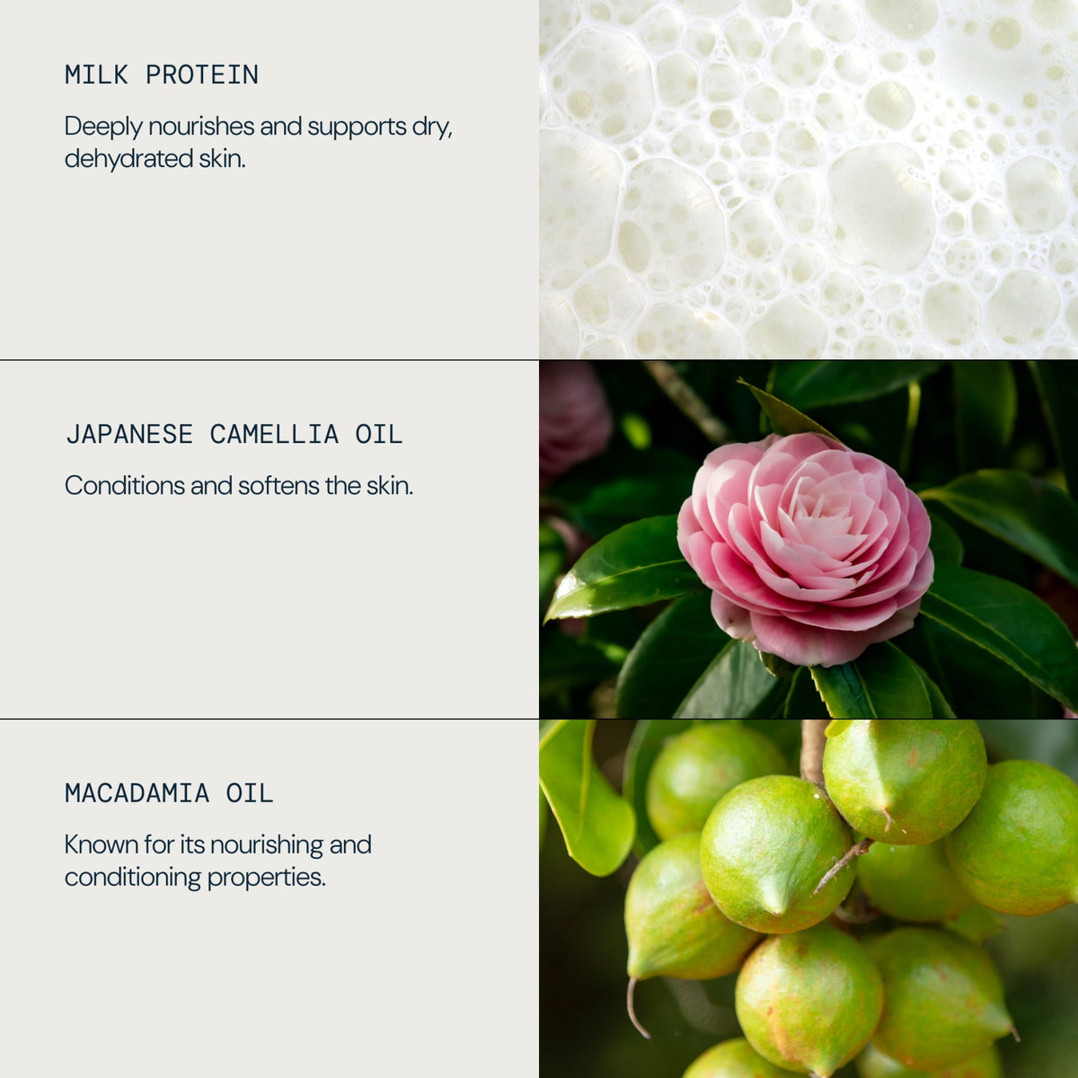 Skin Nourishing Milk Bath
