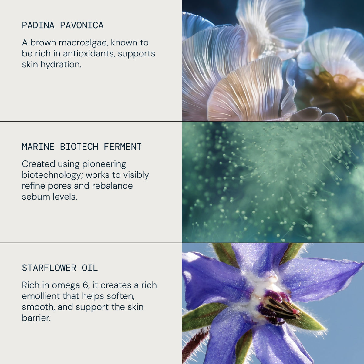Pro-Collagen Prep & Replenish Routine