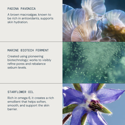 Pro-Collagen Prep & Replenish Routine