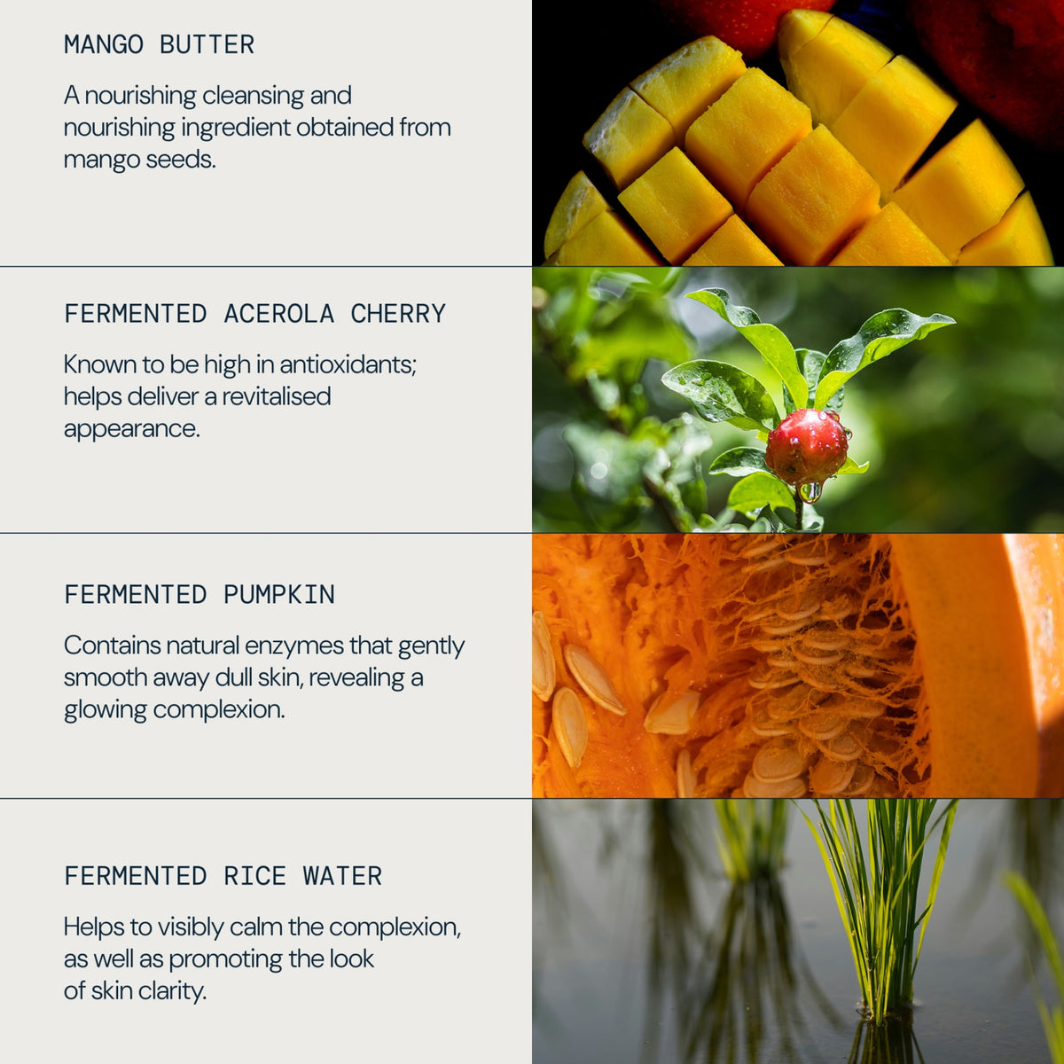 Superfood Glow Cleansing Butter