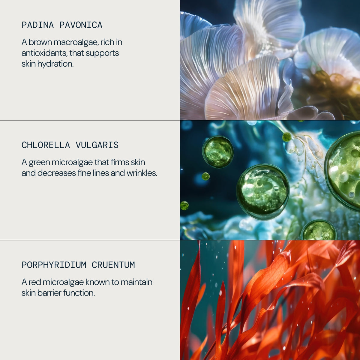 Pro-Collagen Marine Cream Ultra-Rich