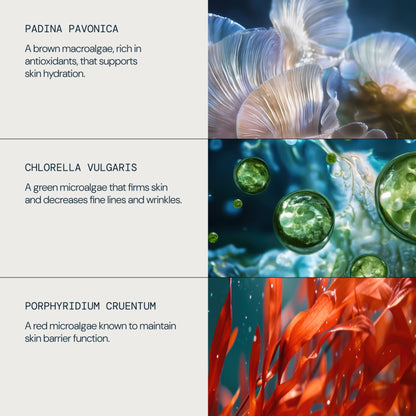 Pro-Collagen Marine Cream Ultra-Rich