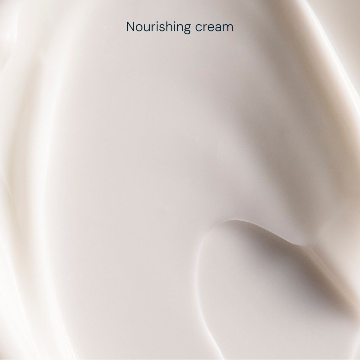 Pro-Collagen Night Cream