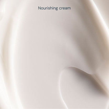 Pro-Collagen Night Cream