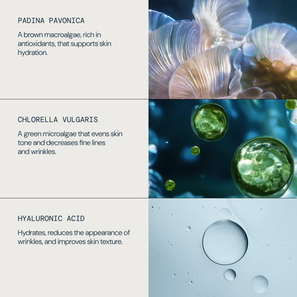 Pro-Collagen Hydra-Gel Eye Masks