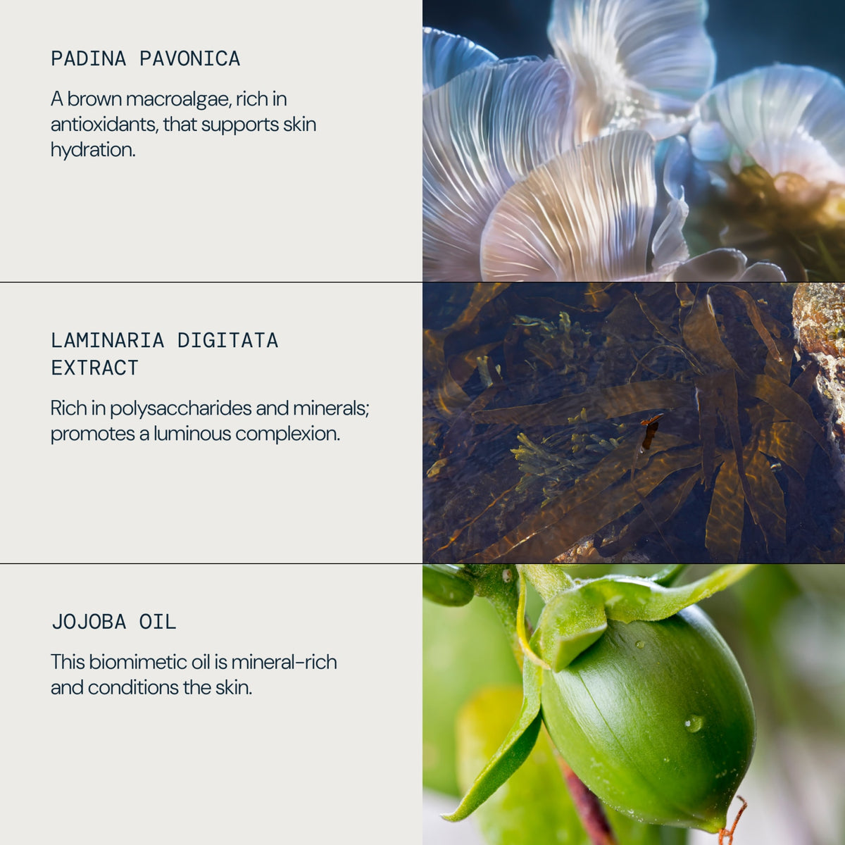 Pro-Collagen Marine Oil