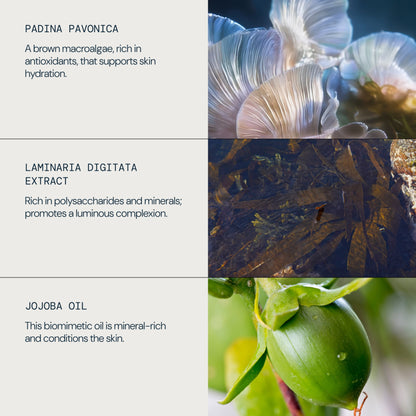 Pro-Collagen Marine Oil
