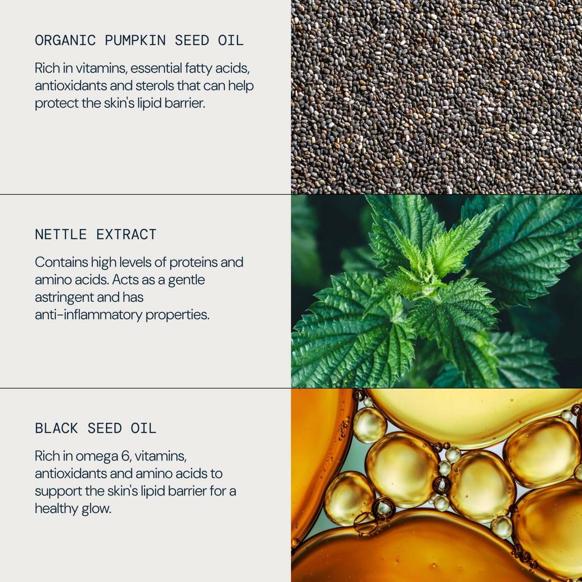 Superfood Facial Wash