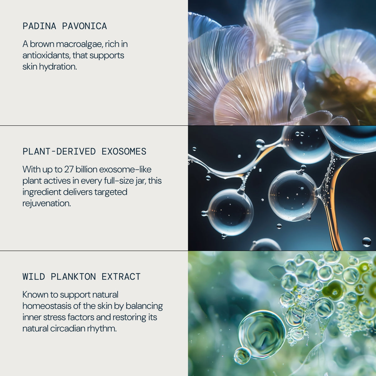 Pro-Collagen Morning Matrix