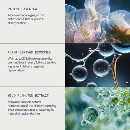 Pro-Collagen Morning Matrix