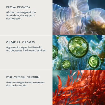 Pro-Collagen Marine Cream