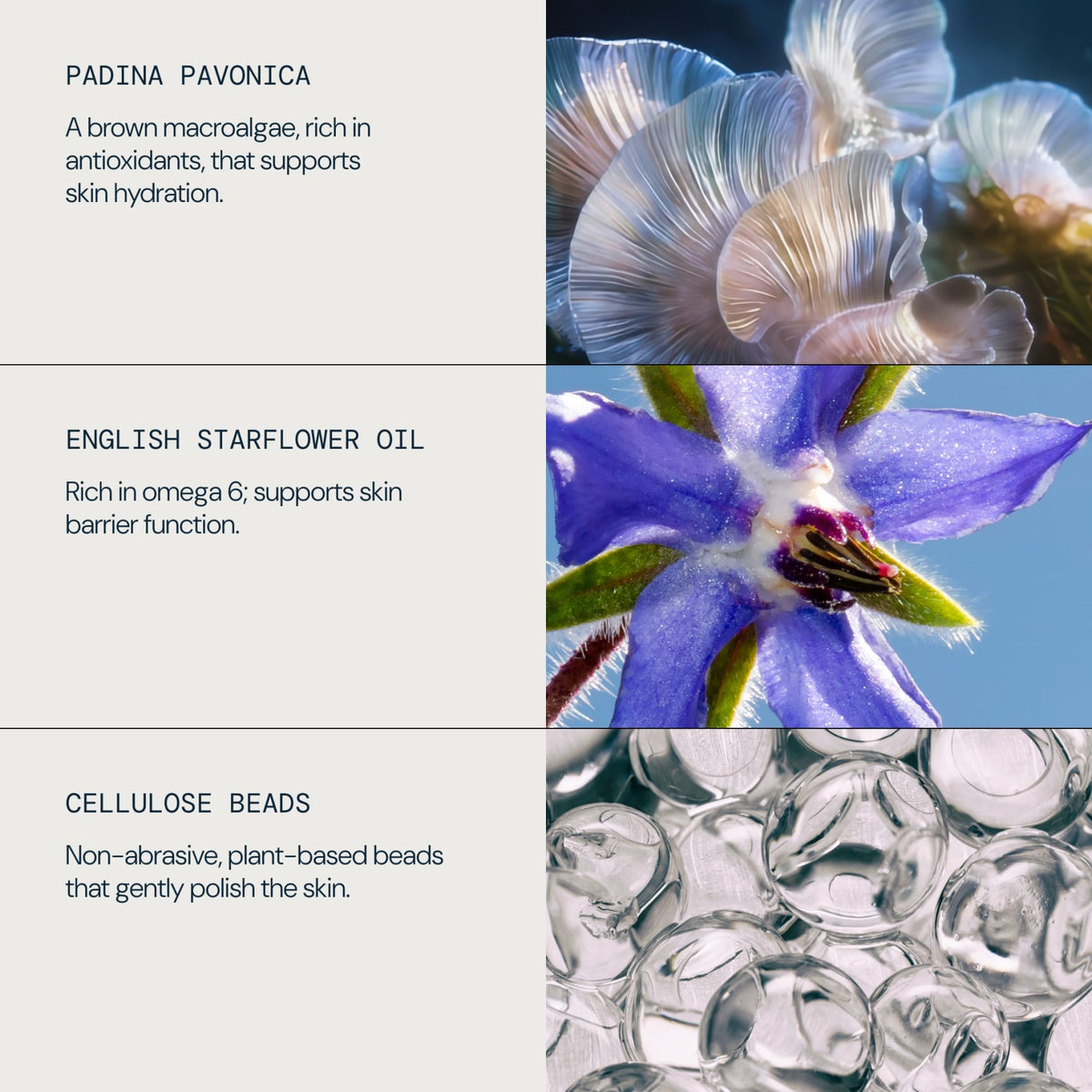 Pro-Collagen Glow Boost Exfoliator