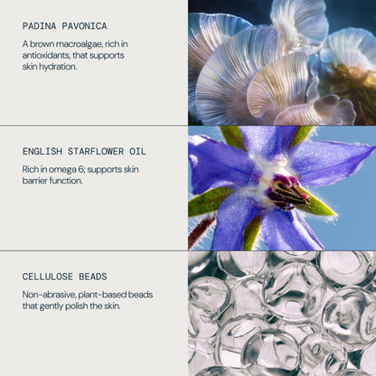 Pro-Collagen Glow Boost Exfoliator