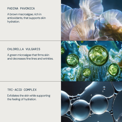Pro-Collagen Tri-Acid Peel