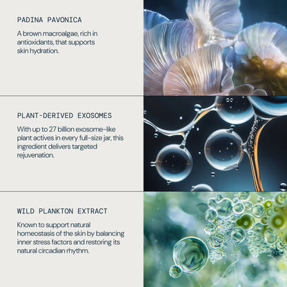 Pro-Collagen Overnight Matrix