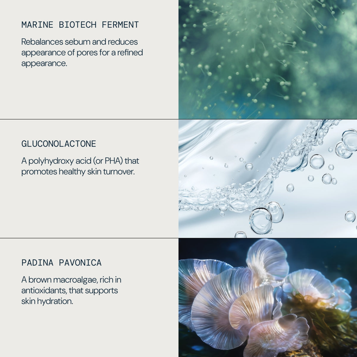 Pro-Collagen Toning Mist
